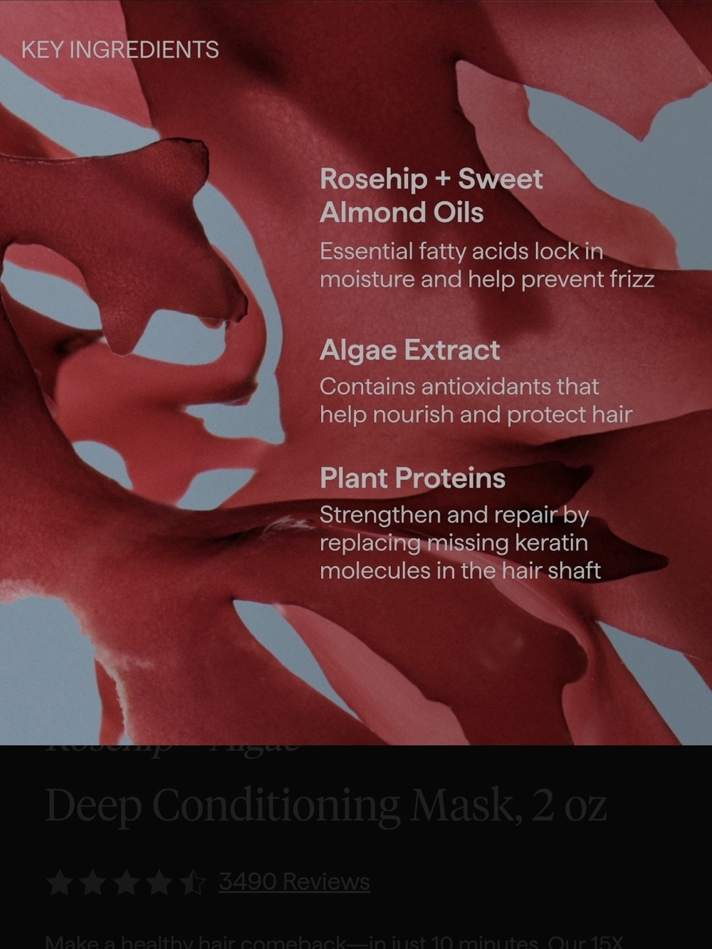 Briogeo Don't Despair, Repair! Deep Conditioning Mask - Brand New! - Picture 6 of 10